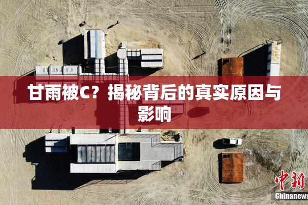 甘雨被C？揭秘背后的真实原因与影响