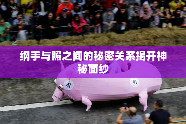 纲手与照之间的秘密关系揭开神秘面纱