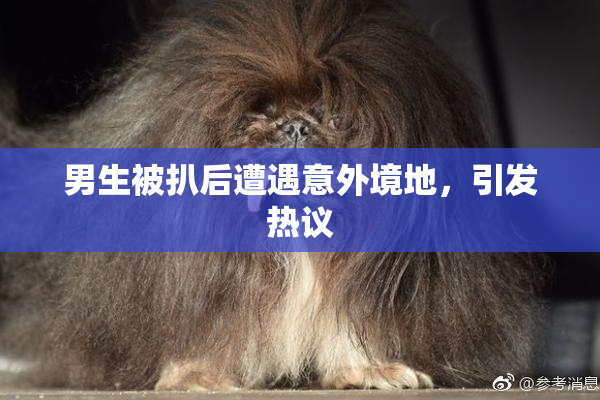 男生被扒后遭遇意外境地，引发热议