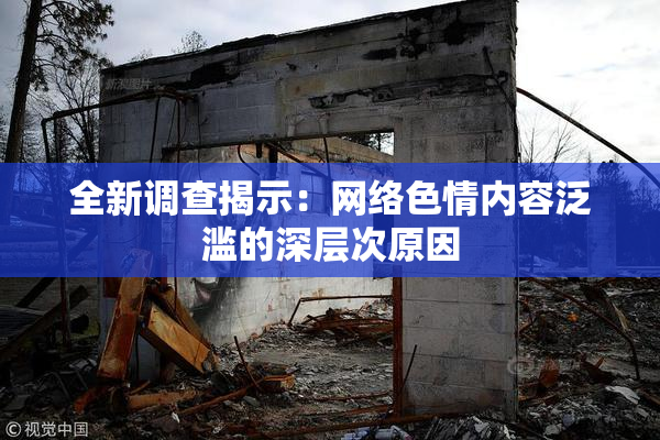 全新调查揭示：网络色情内容泛滥的深层次原因