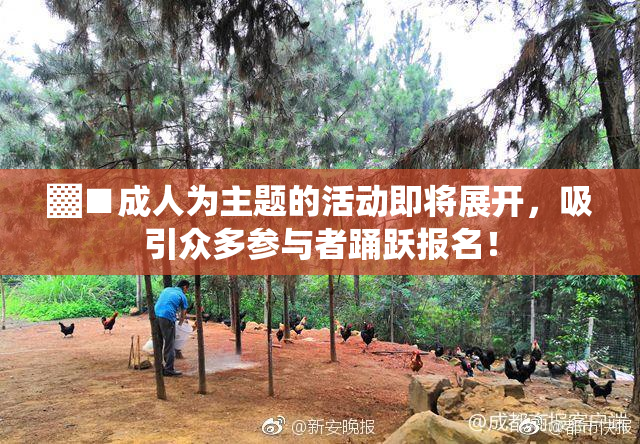 ▓■成人为主题的活动即将展开，吸引众多参与者踊跃报名！