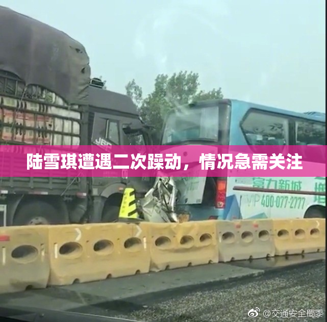 陆雪琪遭遇二次躁动，情况急需关注
