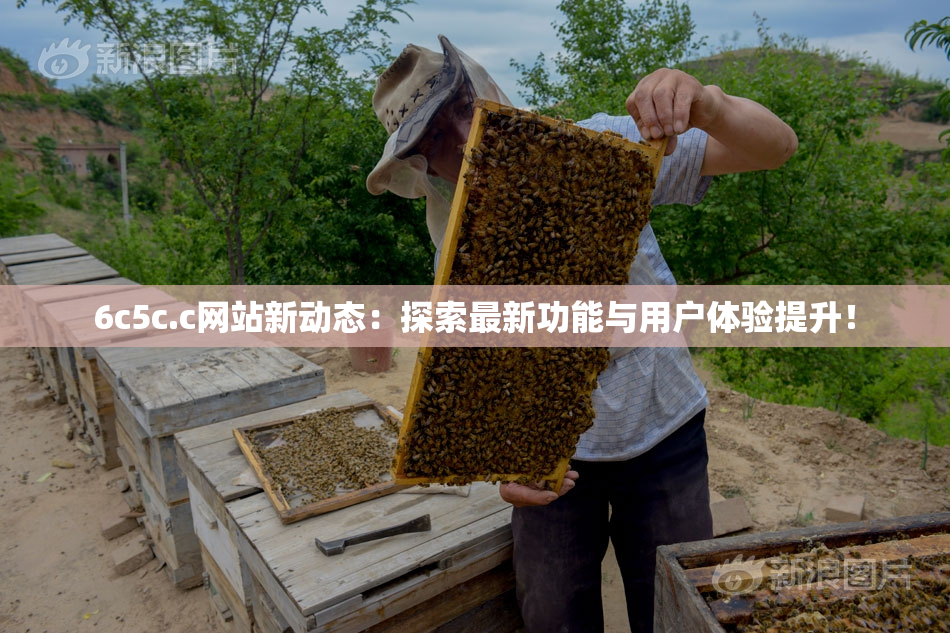 6c5c.c网站新动态：探索最新功能与用户体验提升！