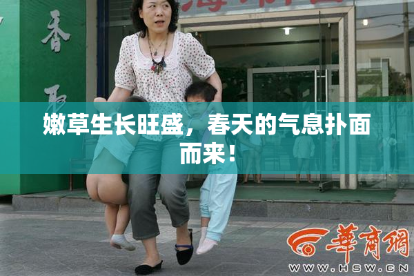嫩草生长旺盛，春天的气息扑面而来！