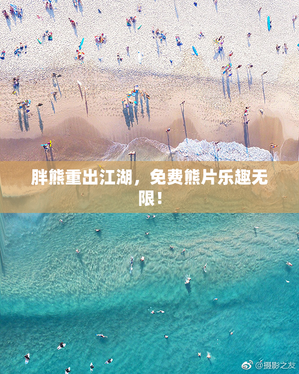 胖熊重出江湖，免费熊片乐趣无限！