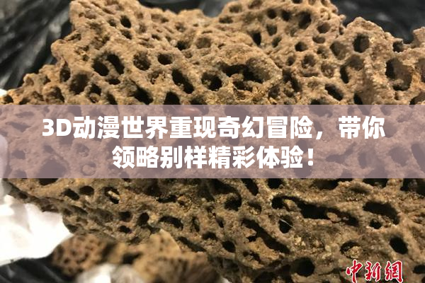 3D动漫世界重现奇幻冒险，带你领略别样精彩体验！