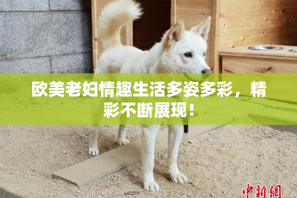 欧美老妇情趣生活多姿多彩，精彩不断展现！