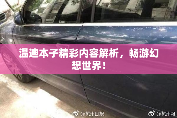 温迪本子精彩内容解析，畅游幻想世界！