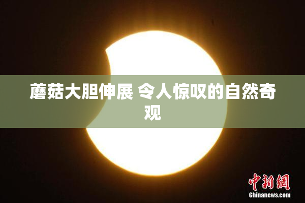 蘑菇大胆伸展 令人惊叹的自然奇观