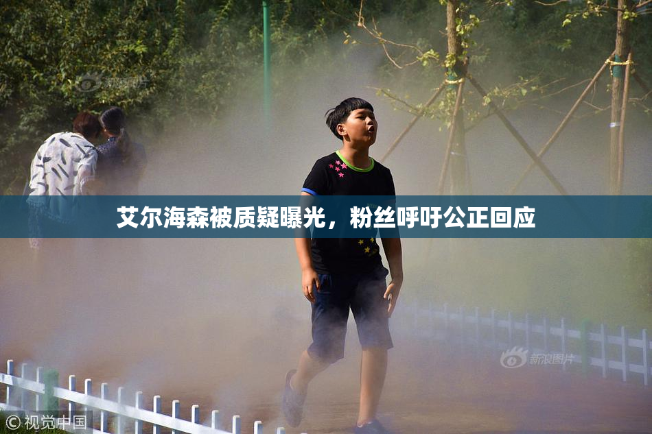 艾尔海森被质疑曝光，粉丝呼吁公正回应