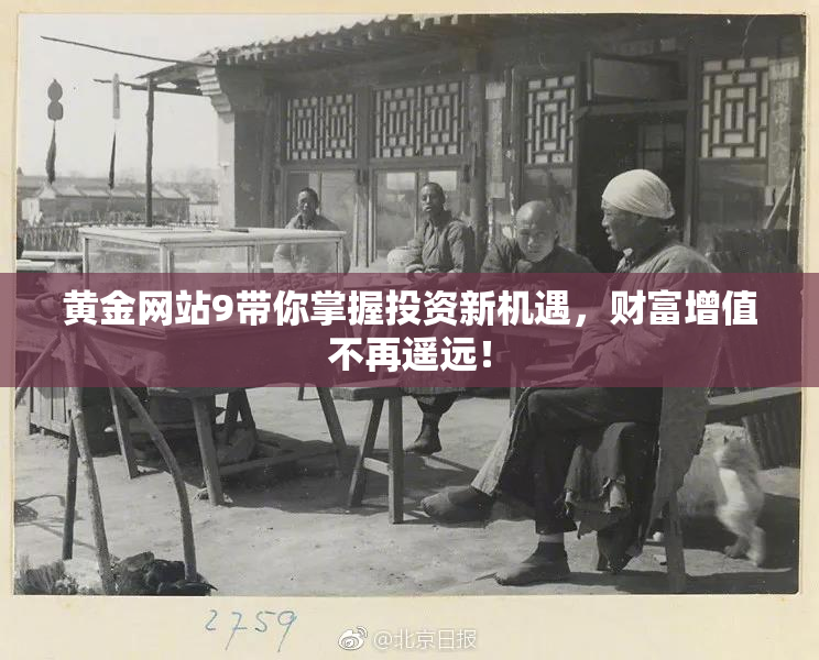 黄金网站9带你掌握投资新机遇，财富增值不再遥远！