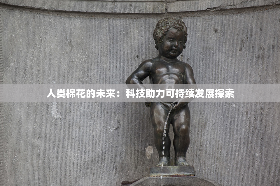 人类棉花的未来：科技助力可持续发展探索