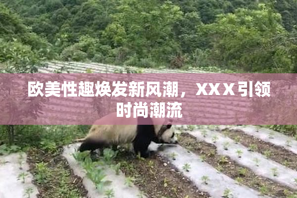 欧美性趣焕发新风潮，XXⅩ引领时尚潮流