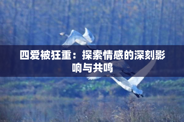 四爱被狂重：探索情感的深刻影响与共鸣