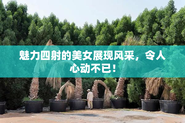 魅力四射的美女展现风采，令人心动不已！