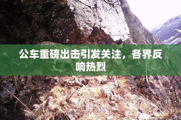公车重磅出击引发关注，各界反响热烈