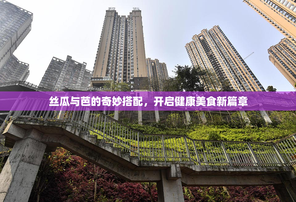丝瓜与芭的奇妙搭配，开启健康美食新篇章