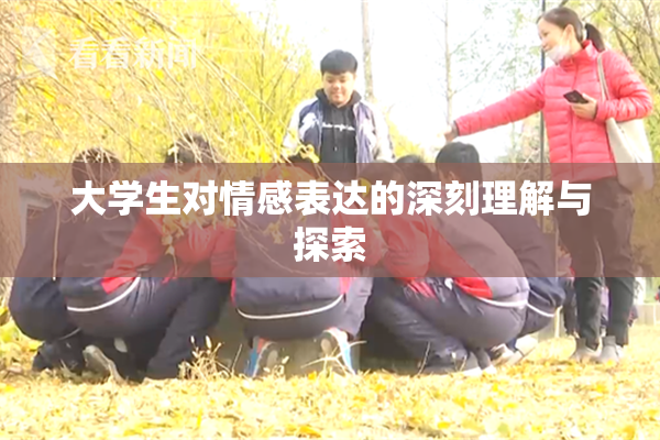 大学生对情感表达的深刻理解与探索