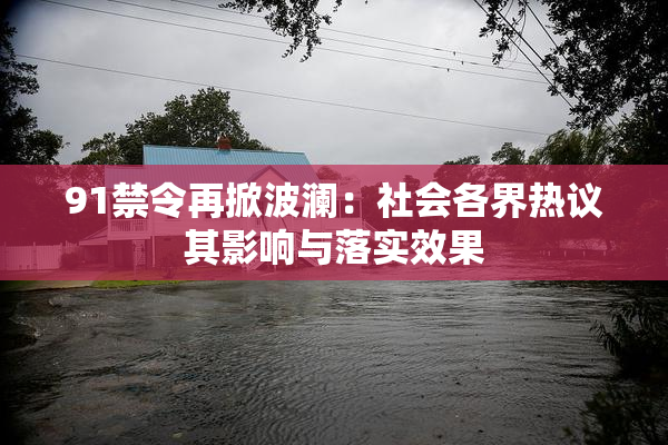 91禁令再掀波澜：社会各界热议其影响与落实效果
