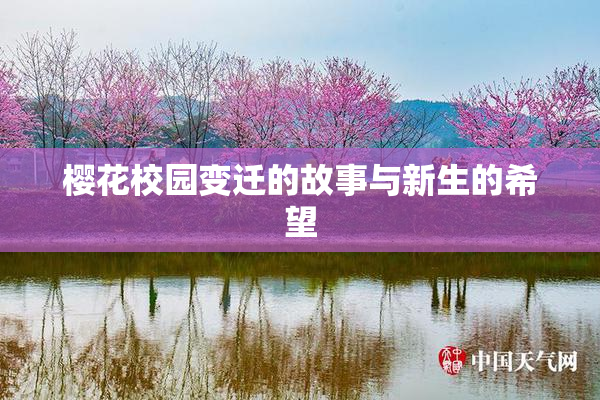 樱花校园变迁的故事与新生的希望