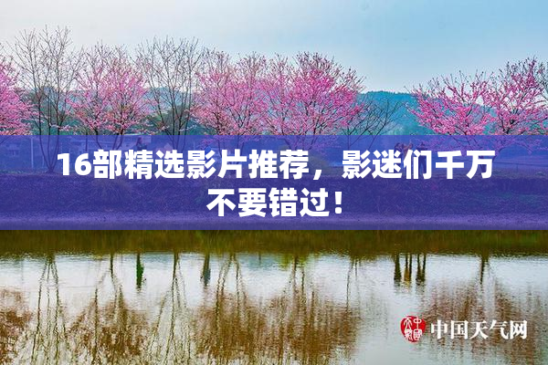 16部精选影片推荐，影迷们千万不要错过！