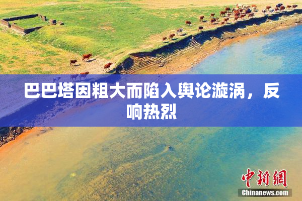 巴巴塔因粗大而陷入舆论漩涡，反响热烈