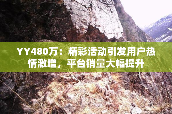 YY480万：精彩活动引发用户热情激增，平台销量大幅提升