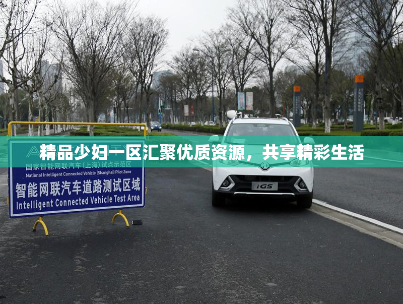 精品少妇一区汇聚优质资源，共享精彩生活