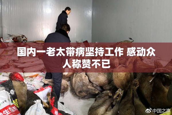 国内一老太带病坚持工作 感动众人称赞不已