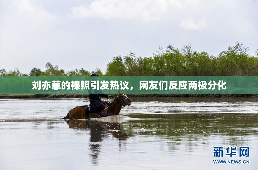刘亦菲的裸照引发热议，网友们反应两极分化