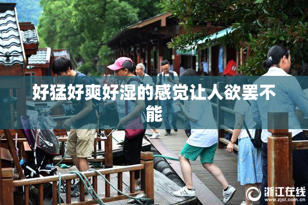 好猛好爽好湿的感觉让人欲罢不能