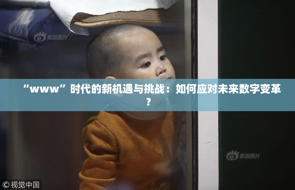 “www”时代的新机遇与挑战：如何应对未来数字变革？