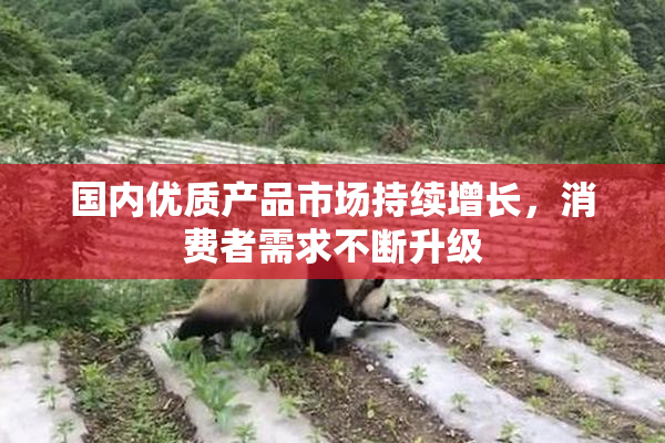 国内优质产品市场持续增长，消费者需求不断升级