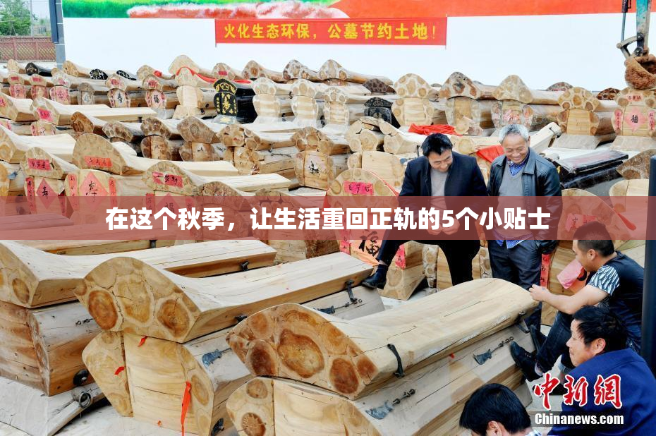 在这个秋季，让生活重回正轨的5个小贴士