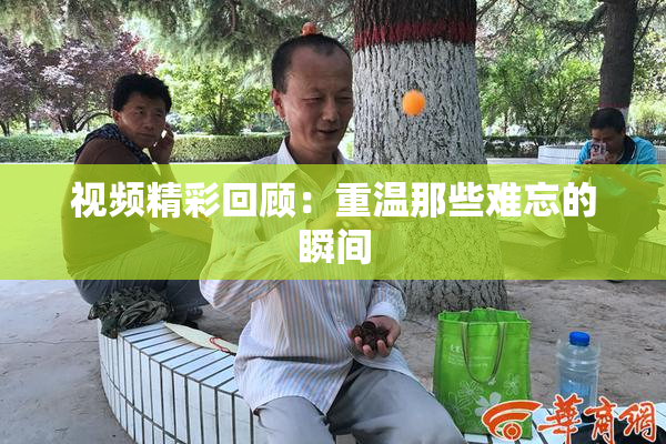 视频精彩回顾：重温那些难忘的瞬间