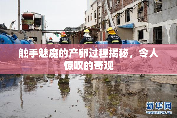 触手魅魔的产卵过程揭秘，令人惊叹的奇观