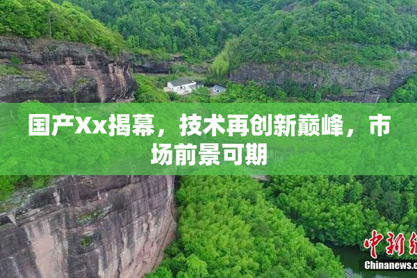 国产Xx揭幕，技术再创新巅峰，市场前景可期