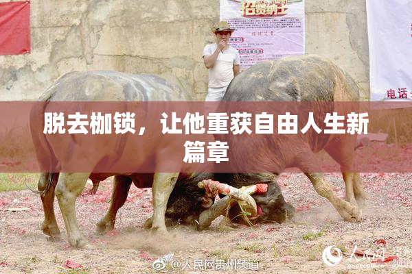 脱去枷锁，让他重获自由人生新篇章