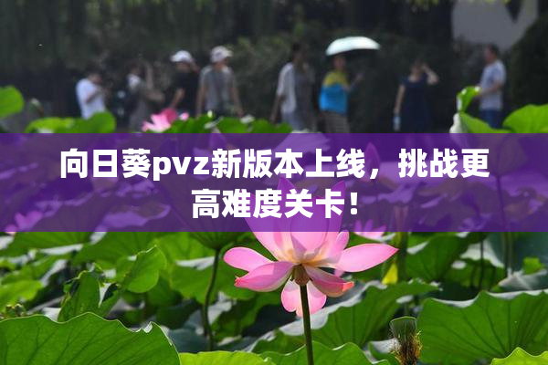 向日葵pvz新版本上线，挑战更高难度关卡！