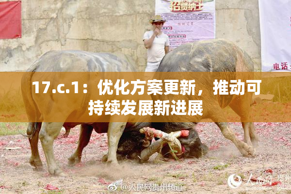 17.c.1：优化方案更新，推动可持续发展新进展