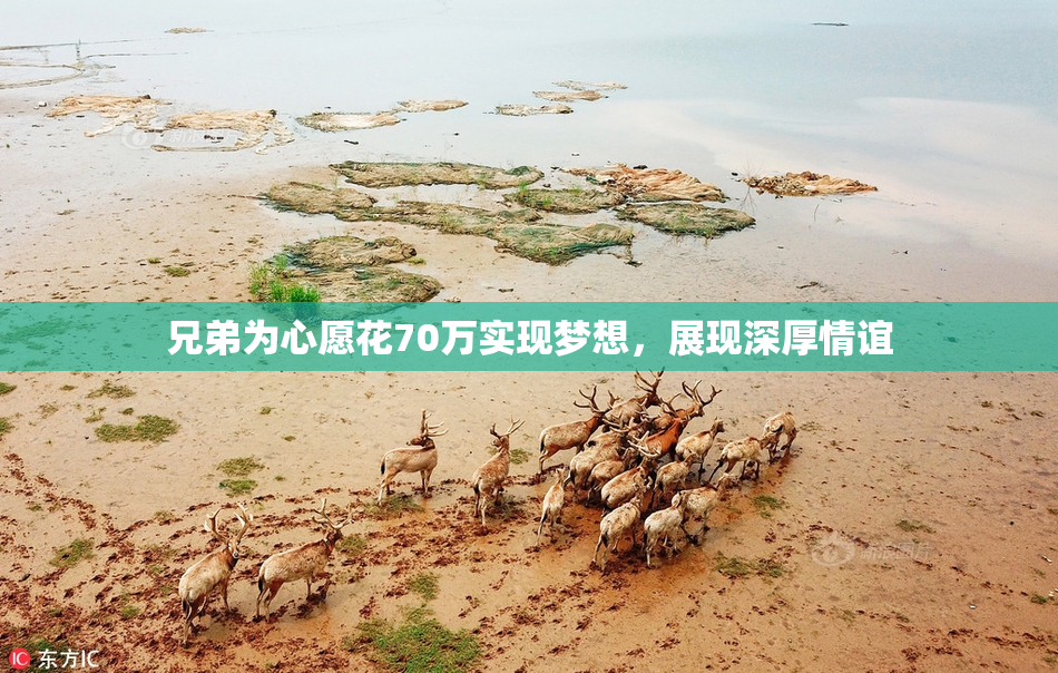 兄弟为心愿花70万实现梦想，展现深厚情谊