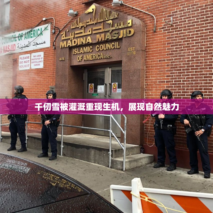 千仞雪被灌溉重现生机，展现自然魅力