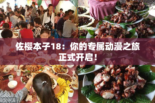 佐樱本子18：你的专属动漫之旅正式开启！