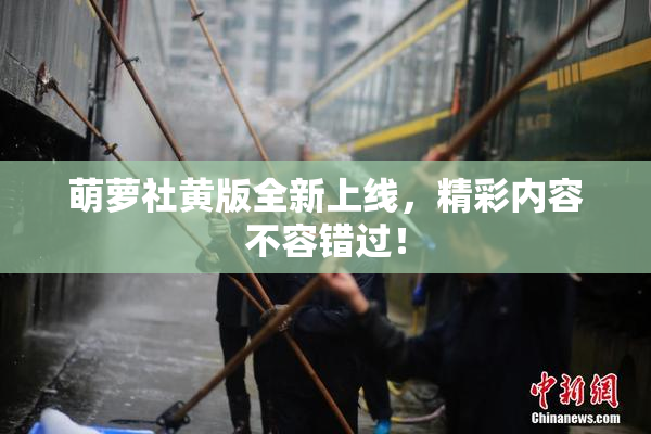 萌萝社黄版全新上线，精彩内容不容错过！