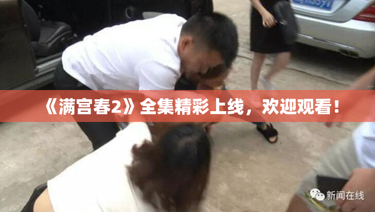 《满宫春2》全集精彩上线，欢迎观看！