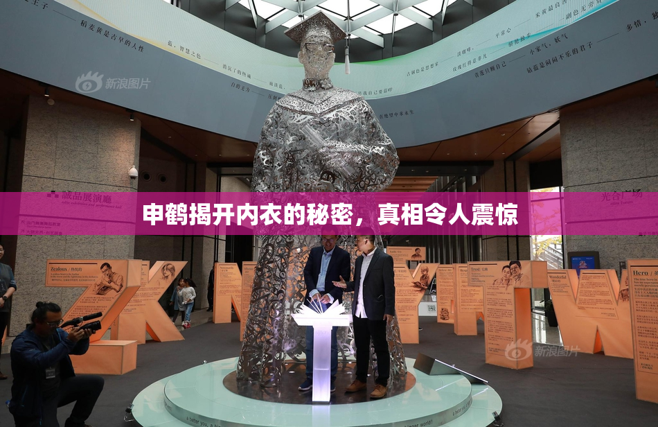 申鹤揭开内衣的秘密，真相令人震惊