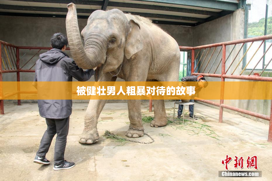被健壮男人粗暴对待的故事