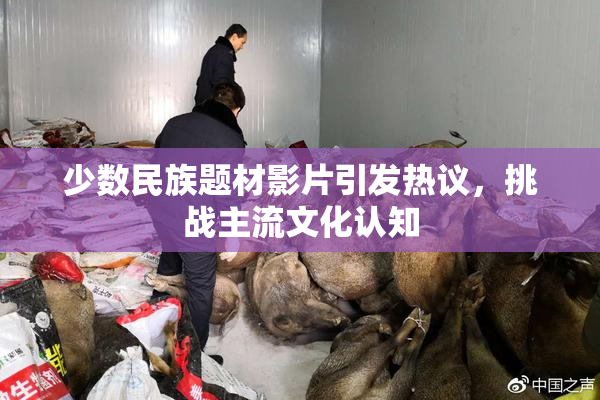 少数民族题材影片引发热议，挑战主流文化认知
