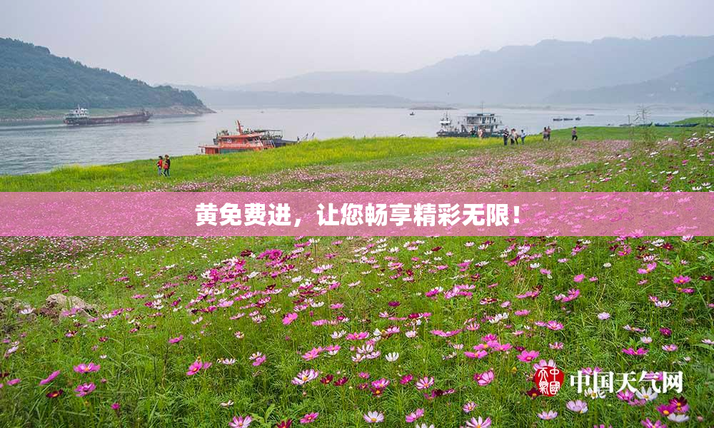 黄免费进，让您畅享精彩无限！