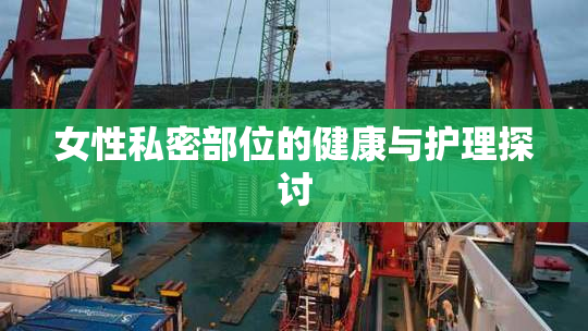 女性私密部位的健康与护理探讨